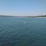 IMG_20180805_105615